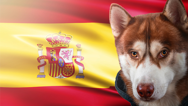 Противоречивый закон о защите животных приняли в Испании