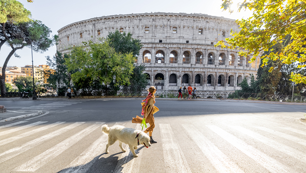 В Италии собаки проживают более чем в трети семей с детьми