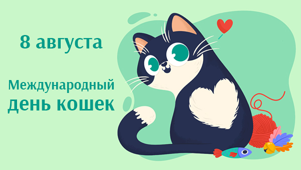 8 августа в 20-й раз отмечается Всемирный день кошек - Зооинформ