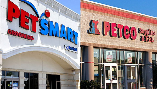 Любимая сеть зоомагазинов в США — Petco или PetSmart?