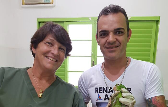 В Бразилии травмированному попугаю установили протез клюва