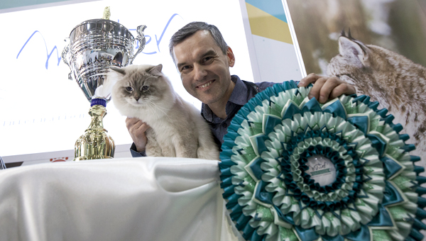Выставка кошек Winter Cat Show пройдёт в Москве в декабре