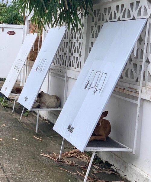 В Таиланде придумали укрытие из переработанных материалов для бездомных собак