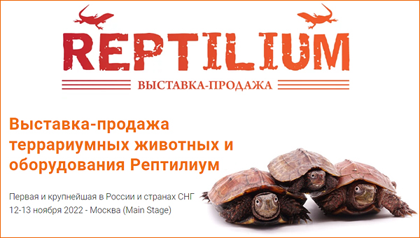 Выставка «Рептилиум» пройдёт в ноябре в Москве