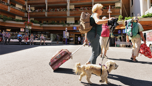 В 2022 году российские собаки реже выезжали за границу