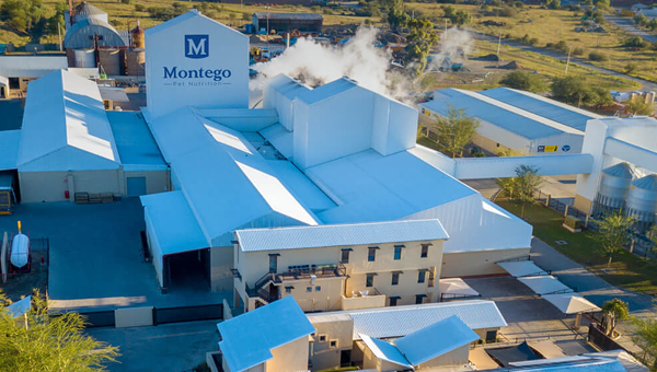 Montego Pet Nutrition из ЮАР увеличит производство кормов