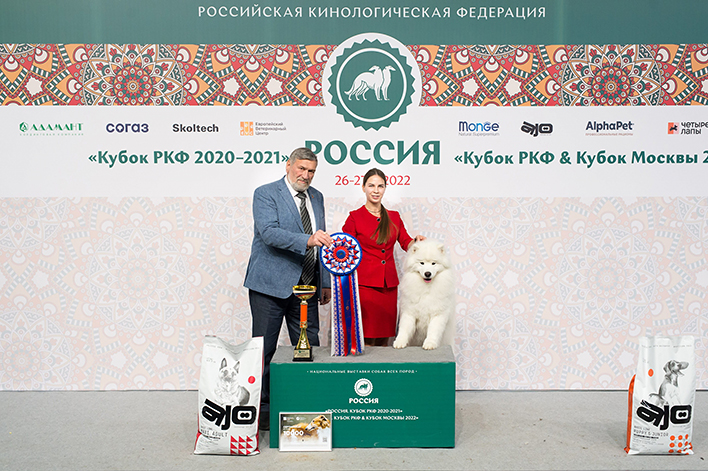 В Москве прошла выставка собак «Россия»
