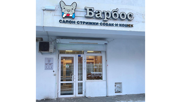 Новый груминг-кабинет начал работать в Перми