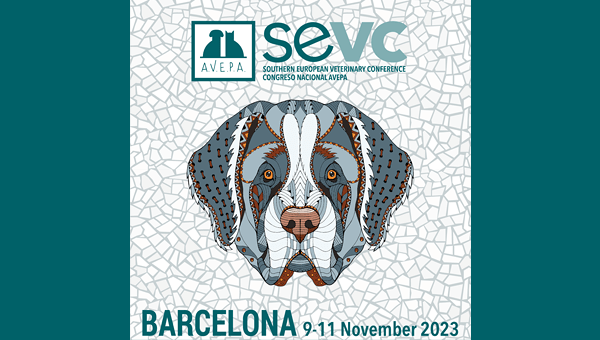 Конференция SEVC пройдёт в Испании в октябре 2023 года