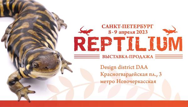 Выставка «Рептилиум» пройдёт в Санкт-Петербурге