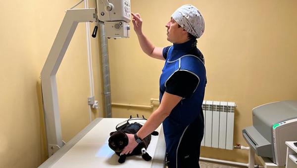 Ветклиника в Ярославле получила помощь для приобретения диагностического оборудования