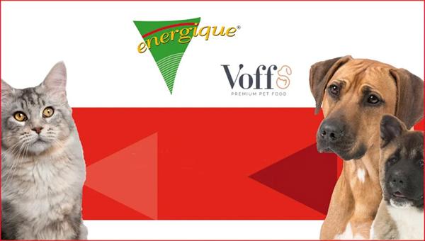 Voff приобрёл компанию Energique из Нидерландов