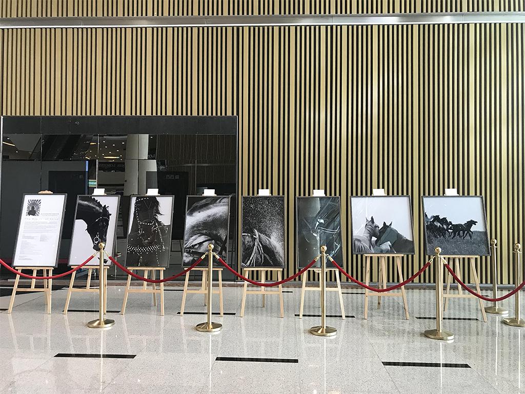 В Дубае проходит выставка работ фотохудожника Александра Забегина