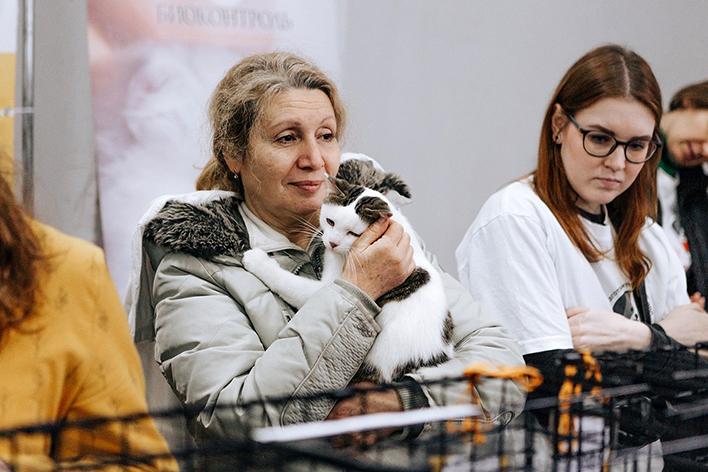 На благотворительном фестивале «Собаки, которые любят» новый дом нашли 20 животных