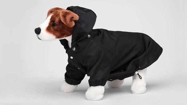 Новую коллекцию одежды для собак представила Prada