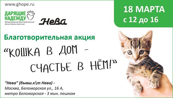 Акция «Кошка в дом — счастье в нём» пройдёт в столице