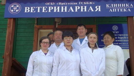 Ветврачи из Иркутской области обратились к президенту