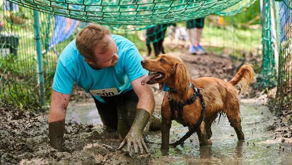 В Великобритании «Грязные собаки» собрали для приюта для животных Баттерси почти £100 тысяч