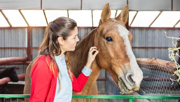 Реакцию сильного испуга у лошадей изучают учёные