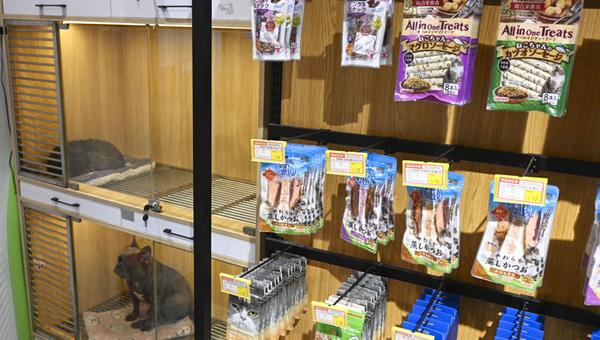 Производители зоотоваров из Японии выходят на рынок Китая