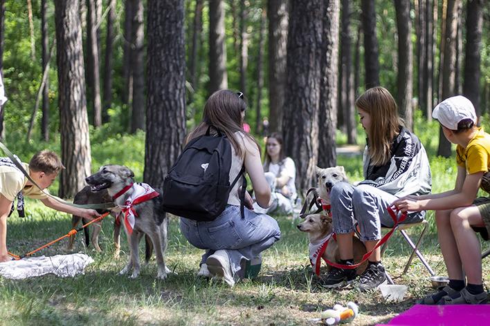 Благотворительный фестиваль «Помочь животным может каждый» прошёл в Новосибирске