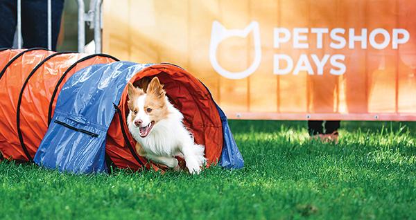 Бесплатный фестиваль Petshop Days 2023 пройдёт в августе