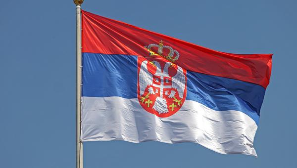 Всё больше кормов для животных ввозится в Россию из Сербии