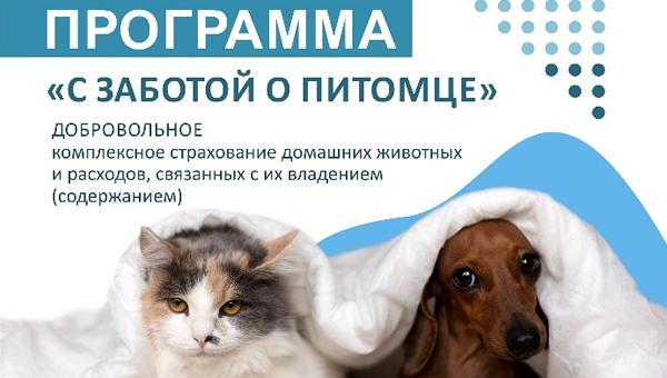 В Беларуси начали оказывать услуги страхования животных