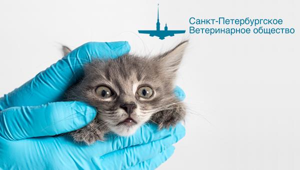 Петербургское ветобщество: ветконференция по офтальмологии