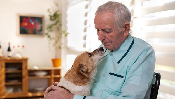 Собаки помогают бороться с деменцией у владельцев животных