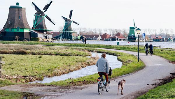 В Нидерландах владельцы животных переживают сложные времена