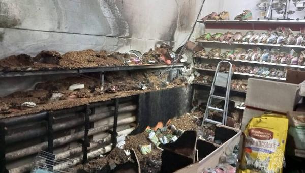 Магазин зоотоваров сгорел в Шуе, пострадали только товары