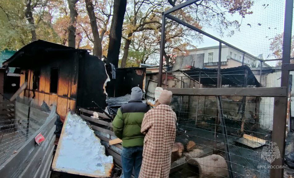 В саратовском зоопарке при пожаре погибли более 40 животных