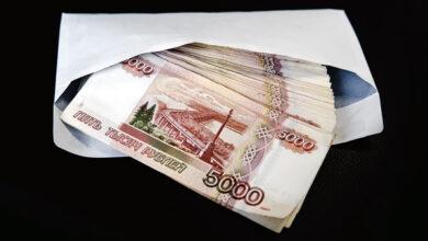 Ветврачи в Белгороде осуждены за крупные взятки