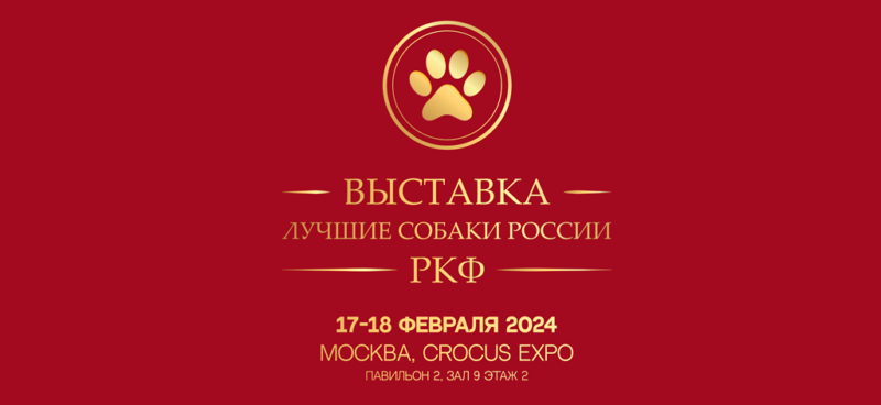 В Москве пройдёт выставка собак «Лучшие собаки России / РКФ»