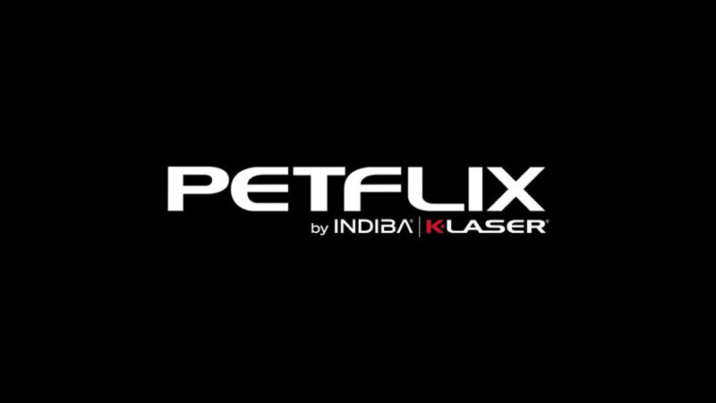 Платформа с контентом о домашних питомцах Petflix запущена