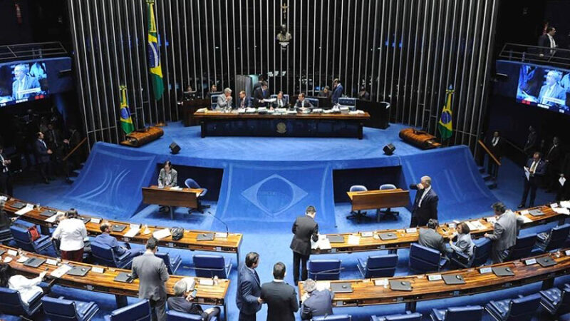 Домашние питомцы в Бразилии буду иметь права