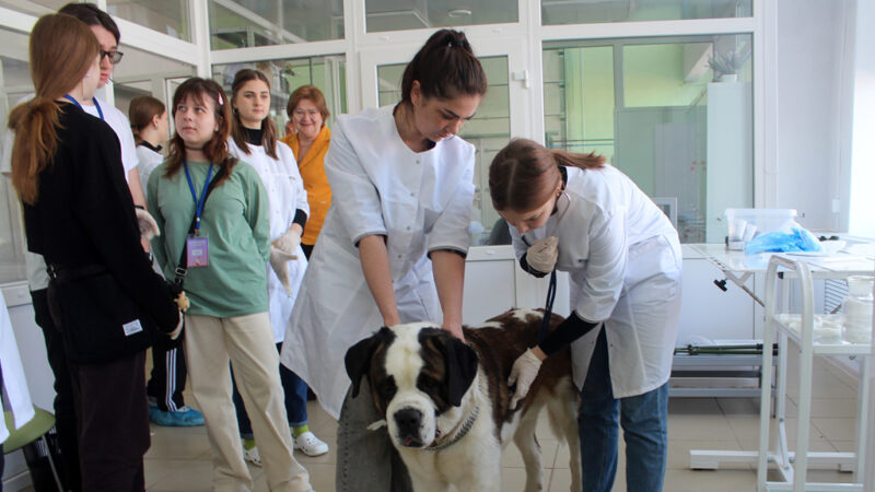 Ветеринарная клиника во Владимирской области