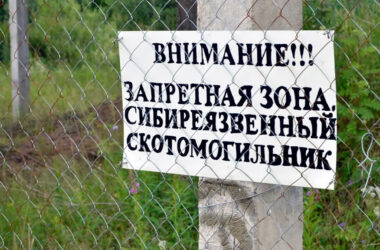 Скотомогильники с сибирской язвой затопило в Казахстане