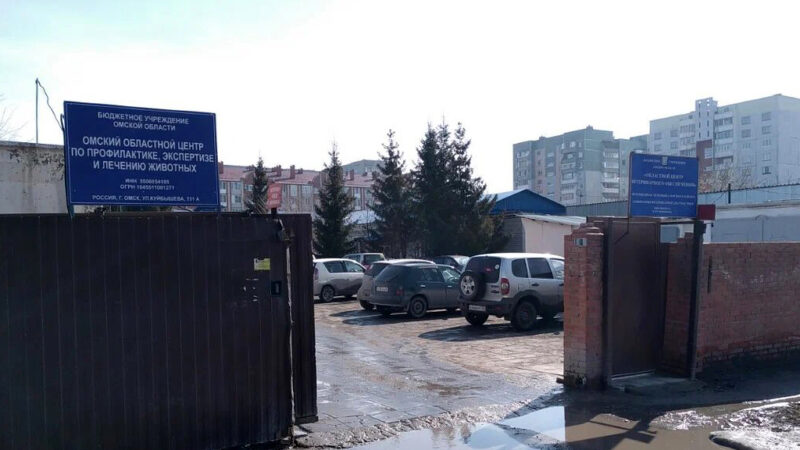 Ветврача, выбросившего тела животных в мусорку, уволили в Омске