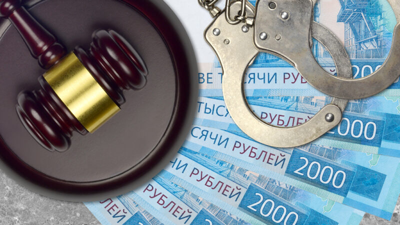 Сотрудник магазина зоотоваров в Казани украл деньги из кассы